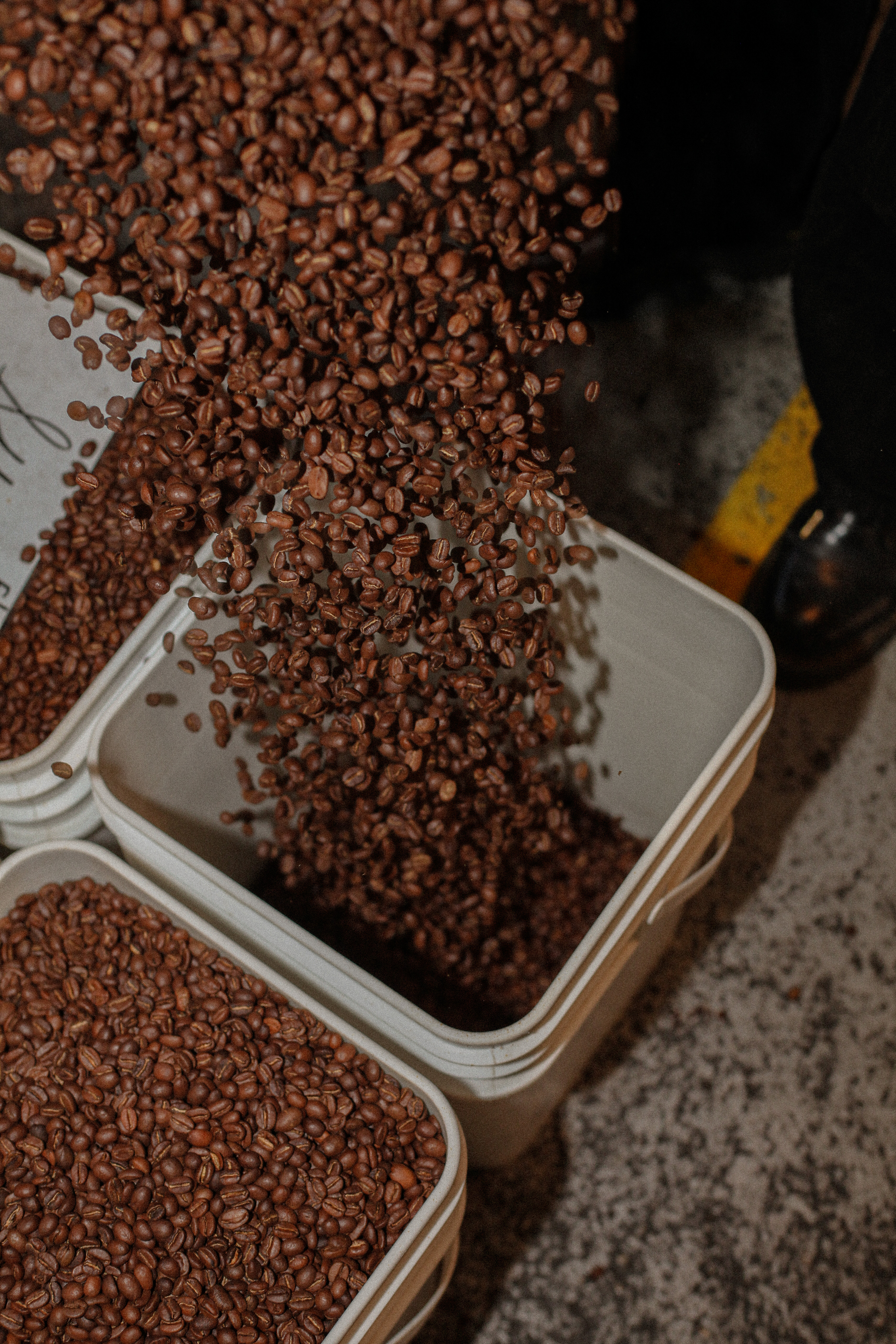 Shop Coffee