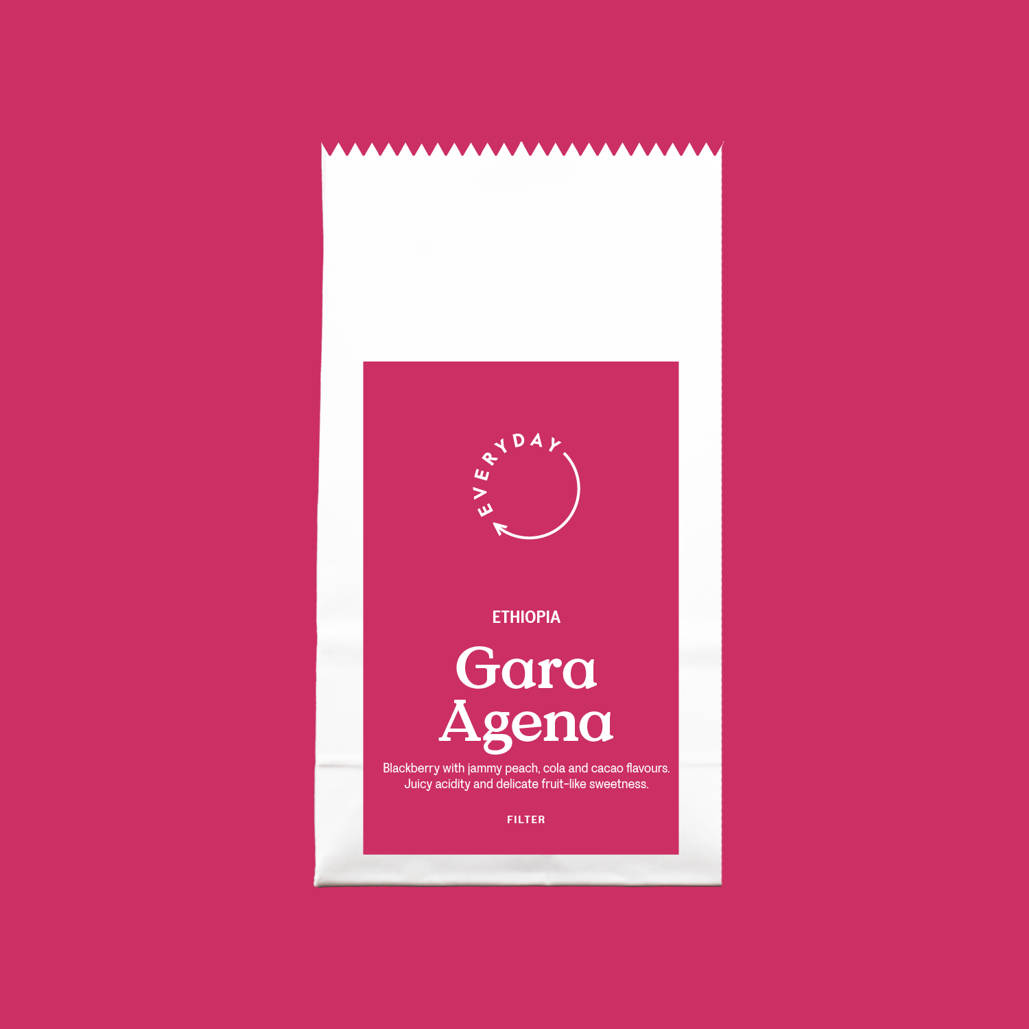 Ethiopia Gara Agena Filter